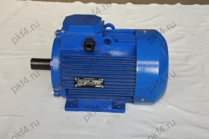 Электродвигатель АДМ 100 L8 (1,5 кВт, 750 об/мин)
